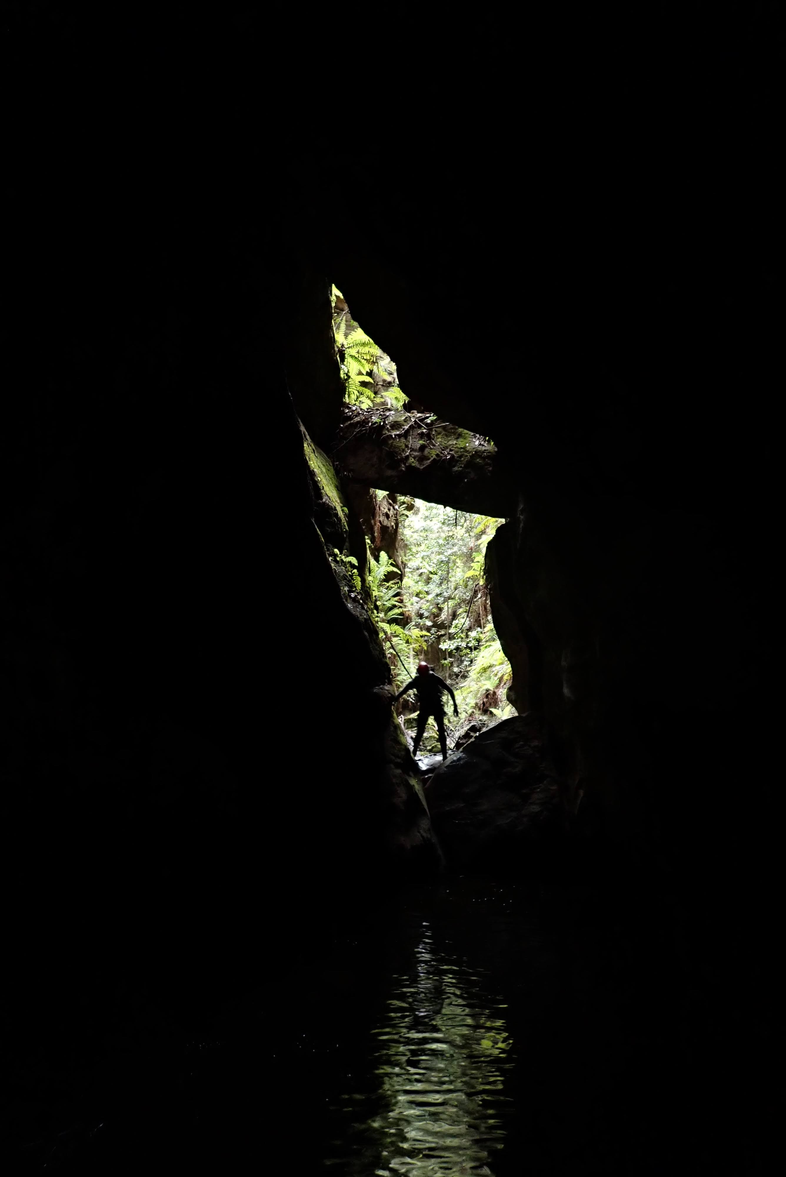 looking up through the tunnel.